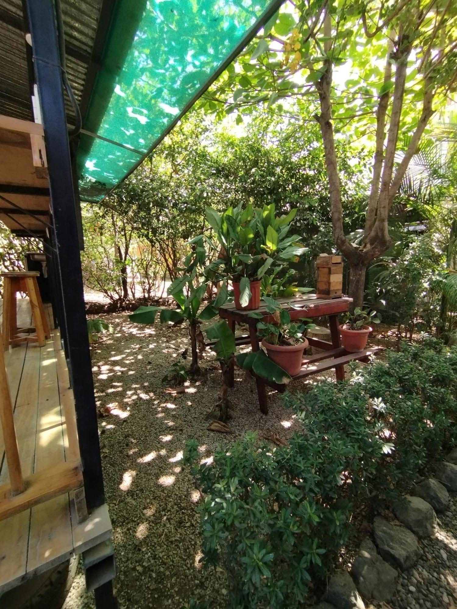 Chill-Inn Nosara Exterior photo